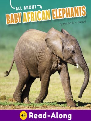 cover image of All About Baby African Elephants